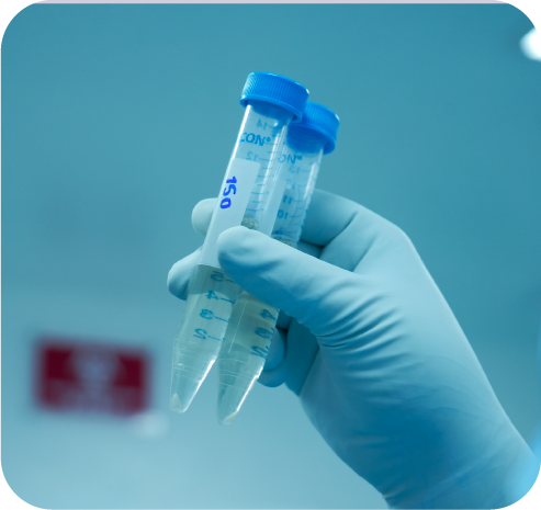 Tubos de centrífuga en laboratorio