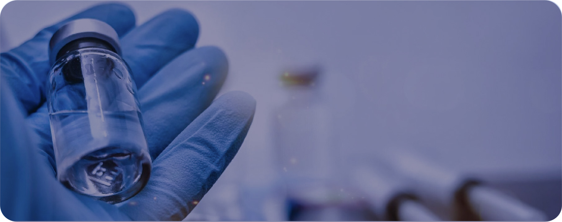 Investigación y desarrollo